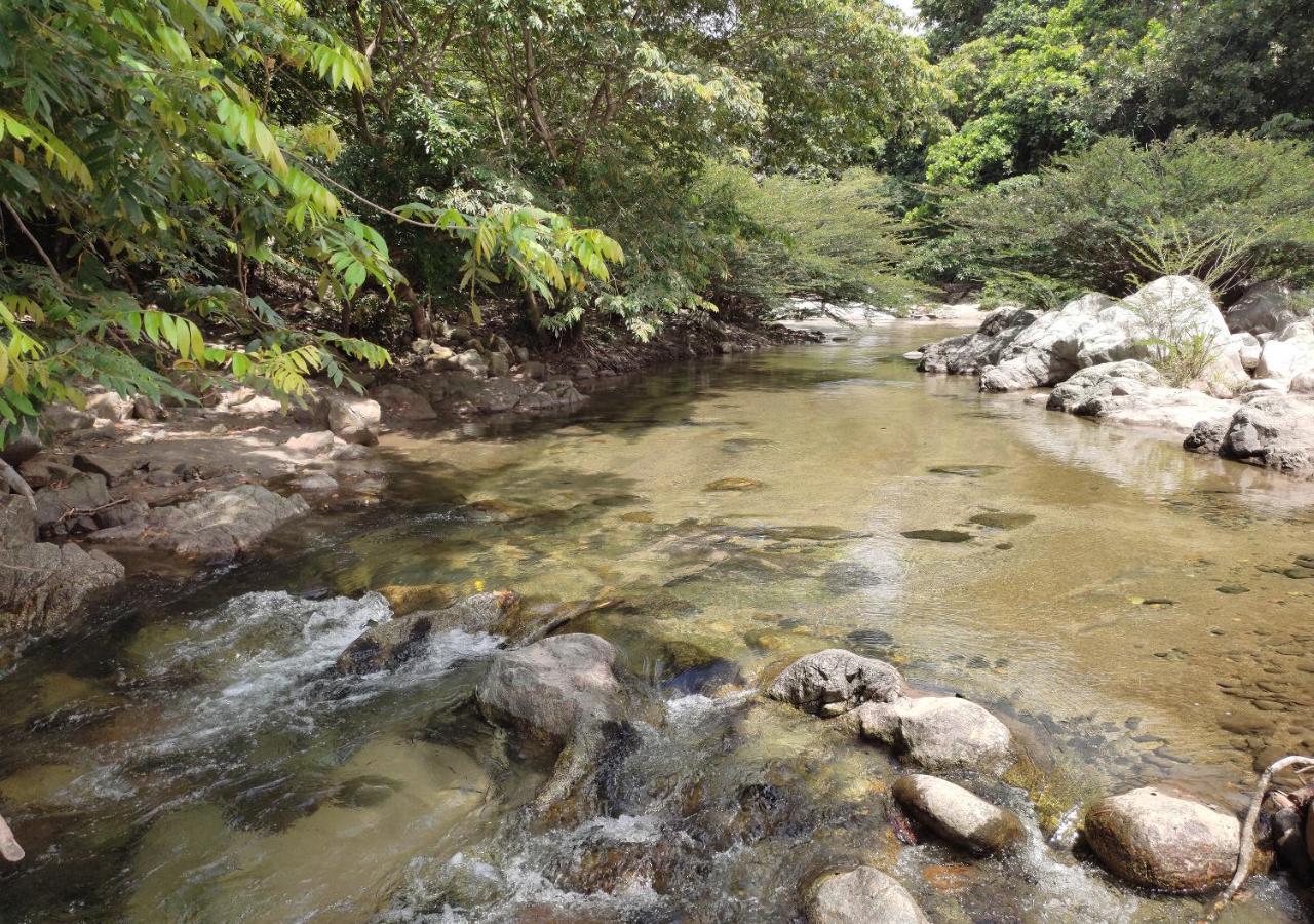 Hotel Manakin Tayrona เอลไซโน ภายนอก รูปภาพ