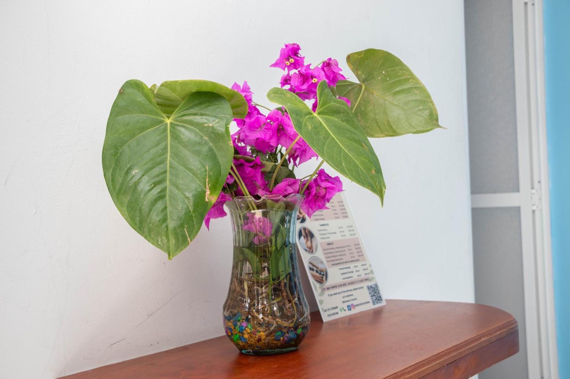 Hotel Manakin Tayrona เอลไซโน ภายนอก รูปภาพ