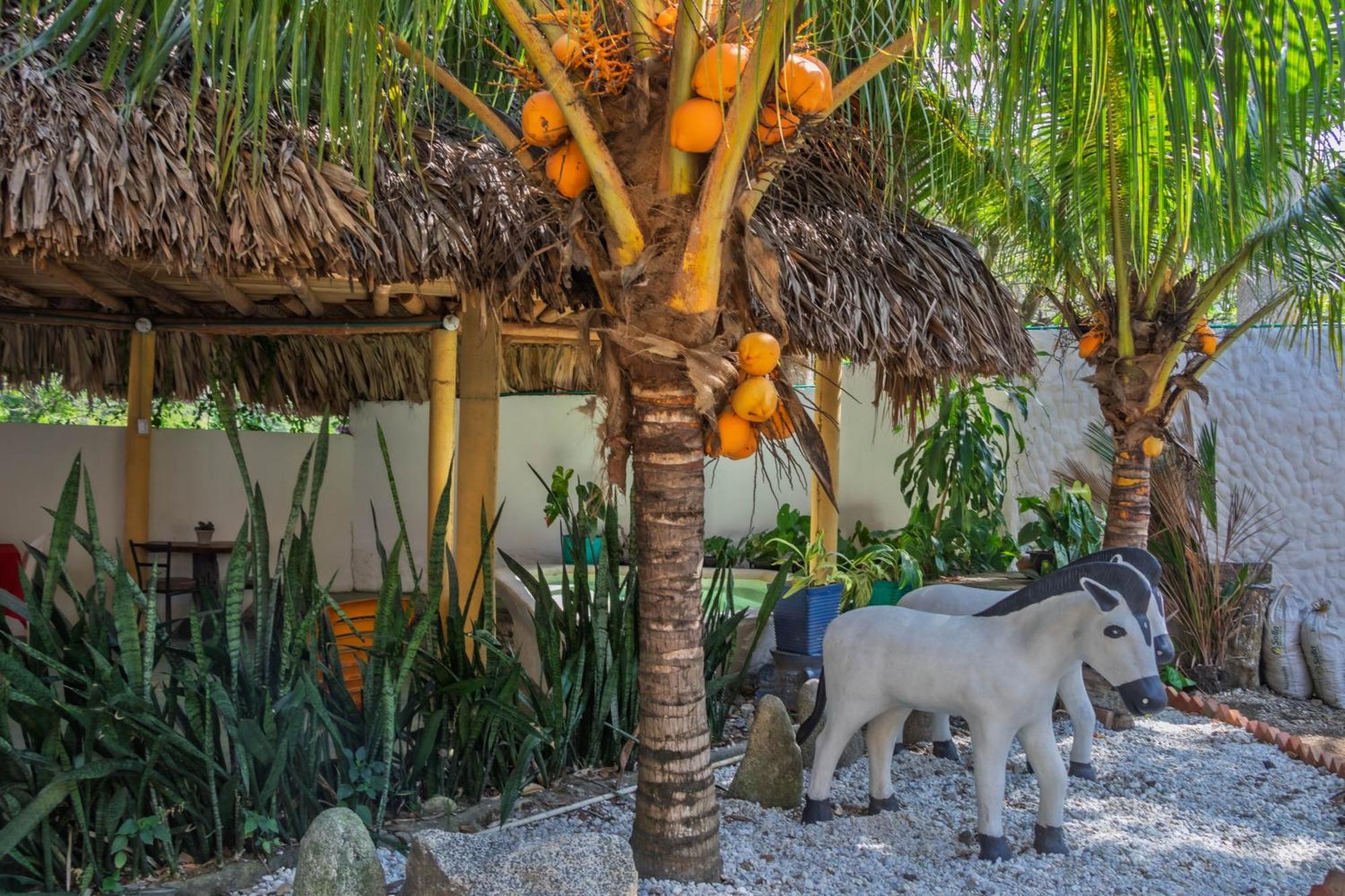 Hotel Manakin Tayrona เอลไซโน ภายนอก รูปภาพ